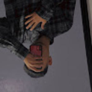 Meet your Posher, Silva sanchez